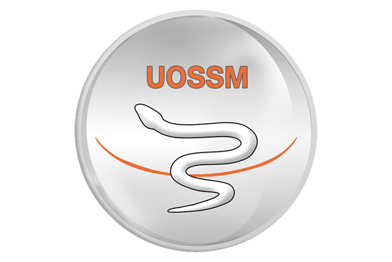 UOSSM